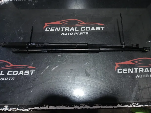 Bonnet Hinge/Strut