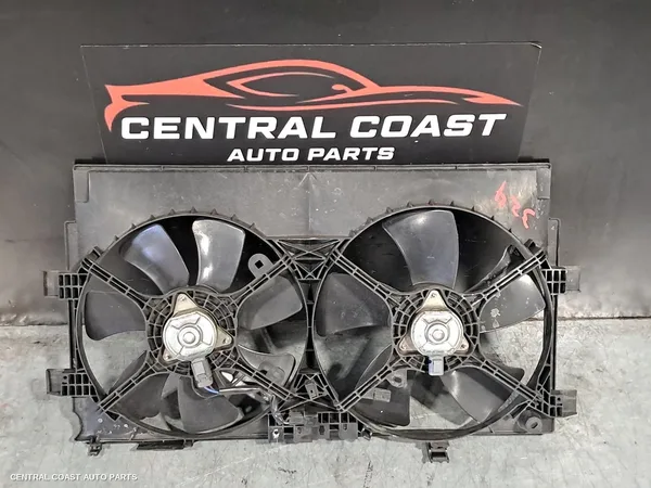Fan