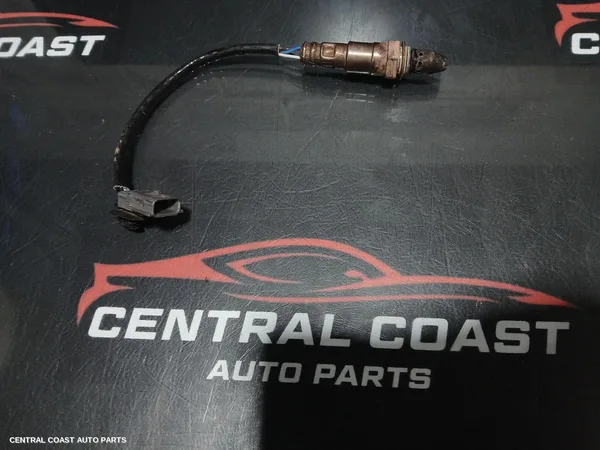 Oxygen Sensor