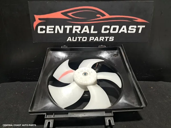 Fan