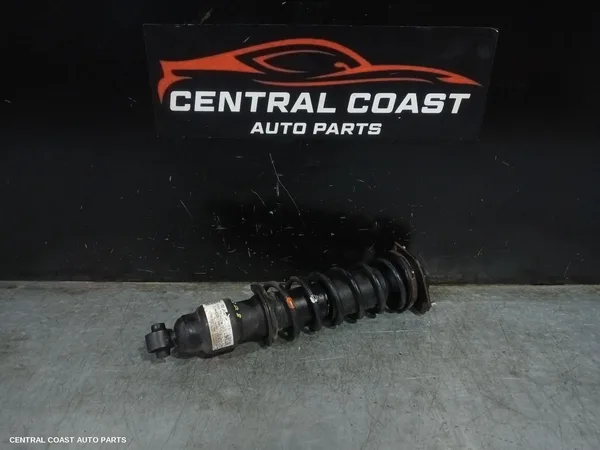 Left Rear Strut