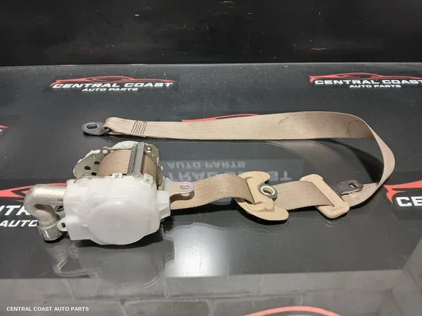 Seatbelt/Stalk