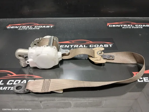 Seatbelt/Stalk