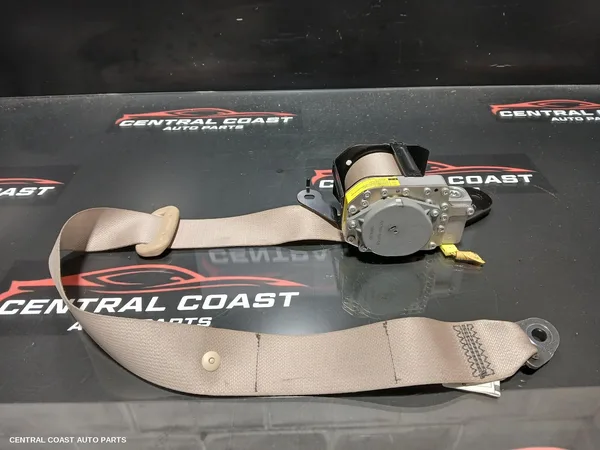 Seatbelt/Stalk
