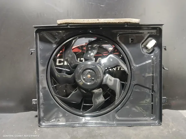 Fan