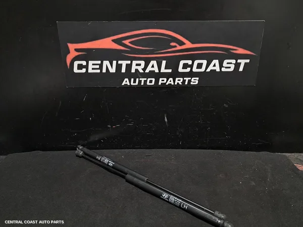 Hatch Strut