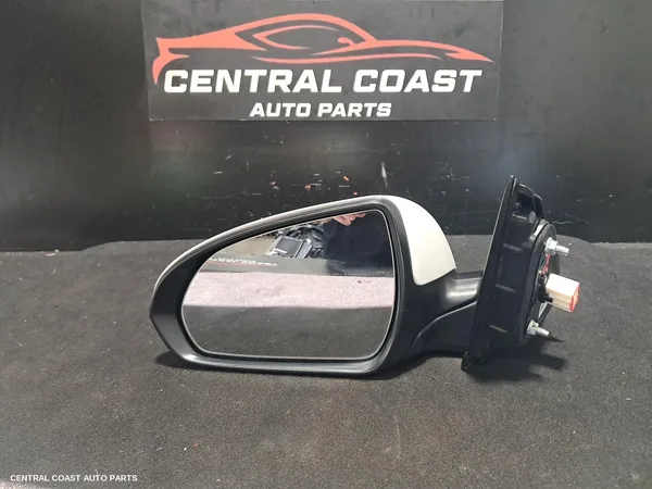 Left Door Mirror