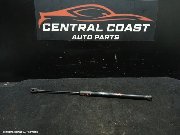 Hatch Strut