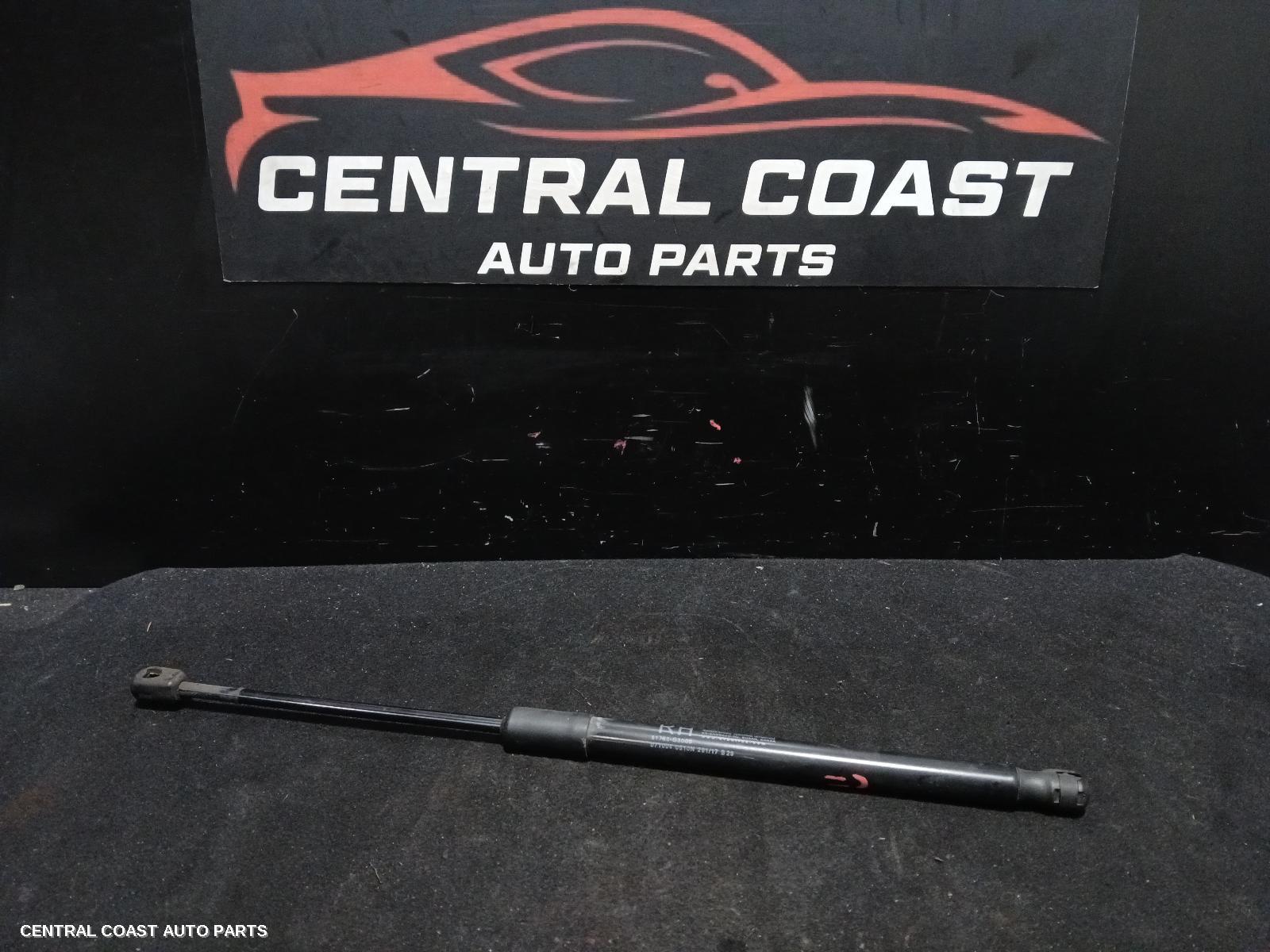Hatch Strut