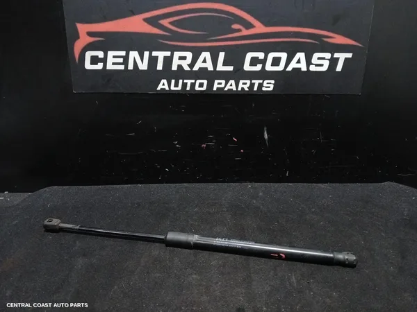 Hatch Strut