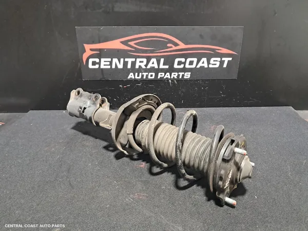 Left Front Strut