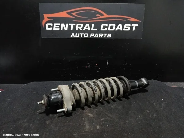 Right Rear Strut