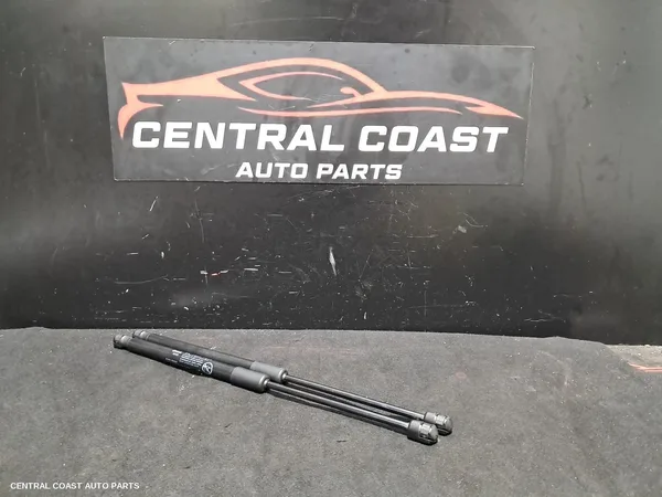Hatch Strut