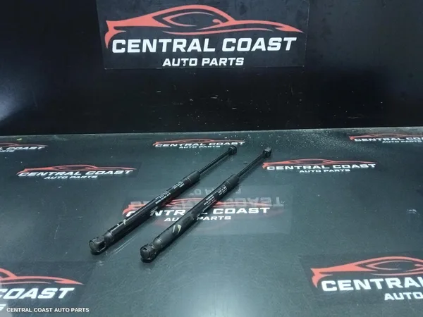 Bonnet Hinge/Strut