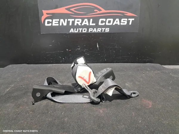 Seatbelt/Stalk