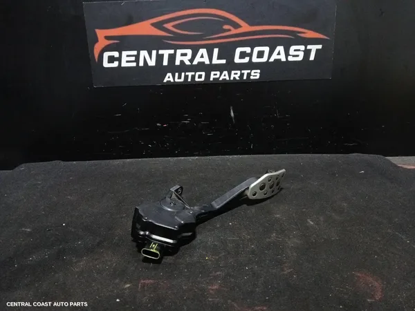 Pedal Assembly