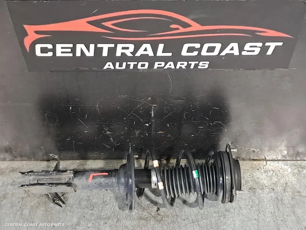 Left Front Strut