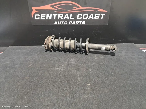 Left Rear Strut