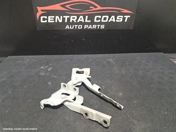 Bonnet Hinge/Strut
