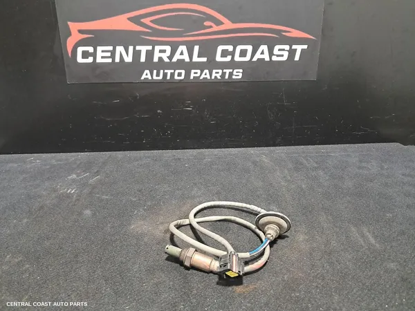 Oxygen Sensor