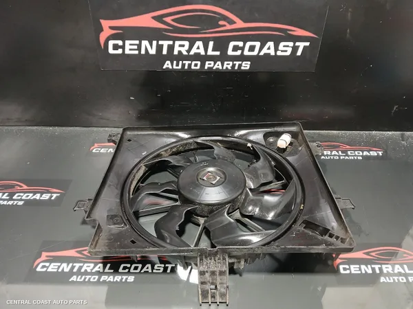 Fan