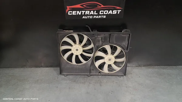 Fan