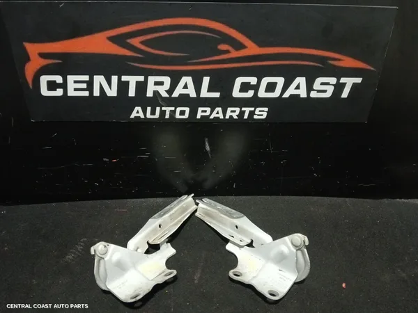 Bonnet Hinge/Strut