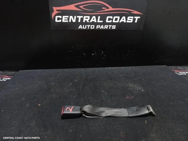 Seatbelt/Stalk