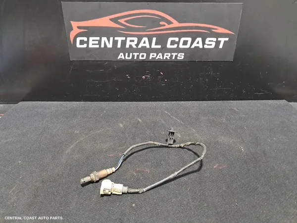 Oxygen Sensor