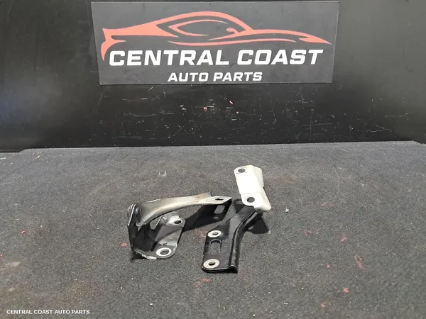 Bonnet Hinge/Strut