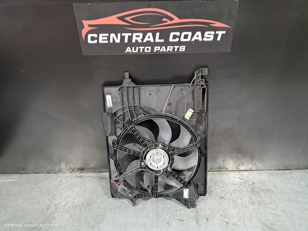 Fan
