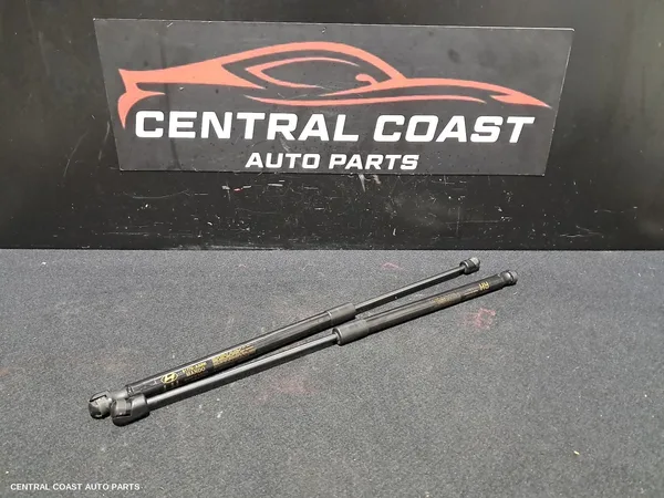 Hatch Strut
