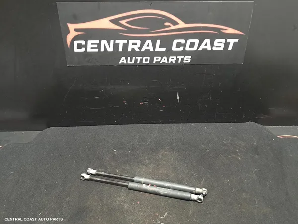 Bonnet Hinge/Strut