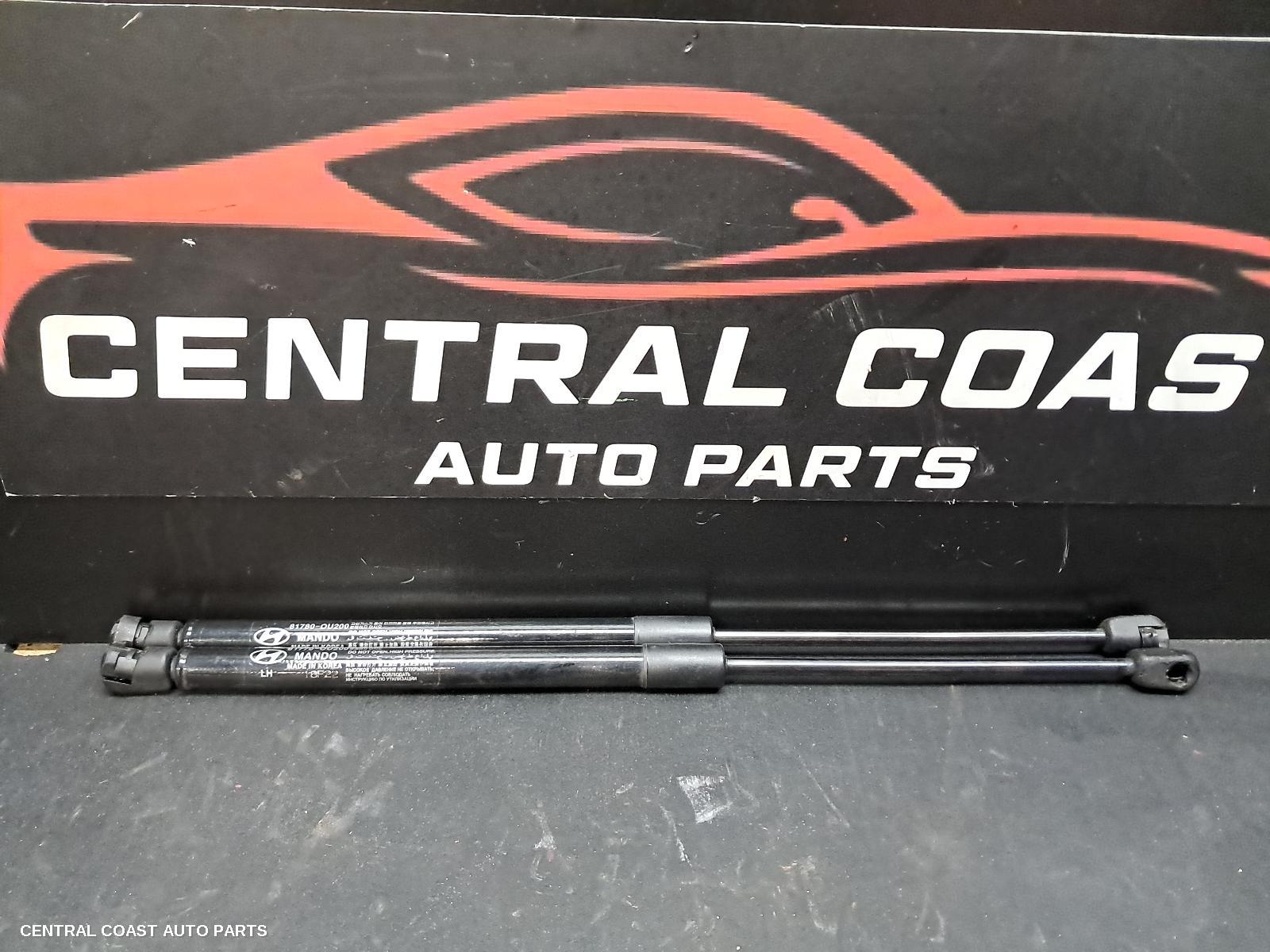 Hatch Strut