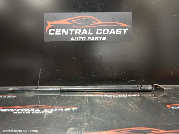 Hatch Strut