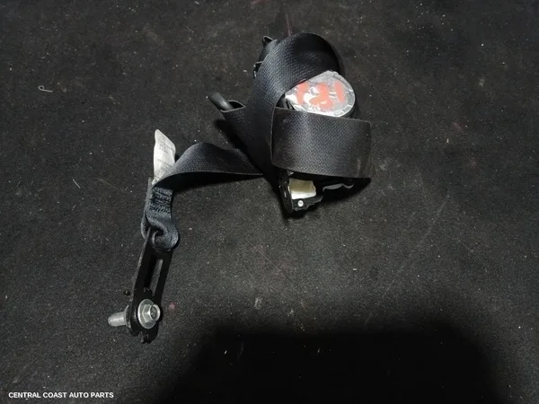 Seatbelt/Stalk