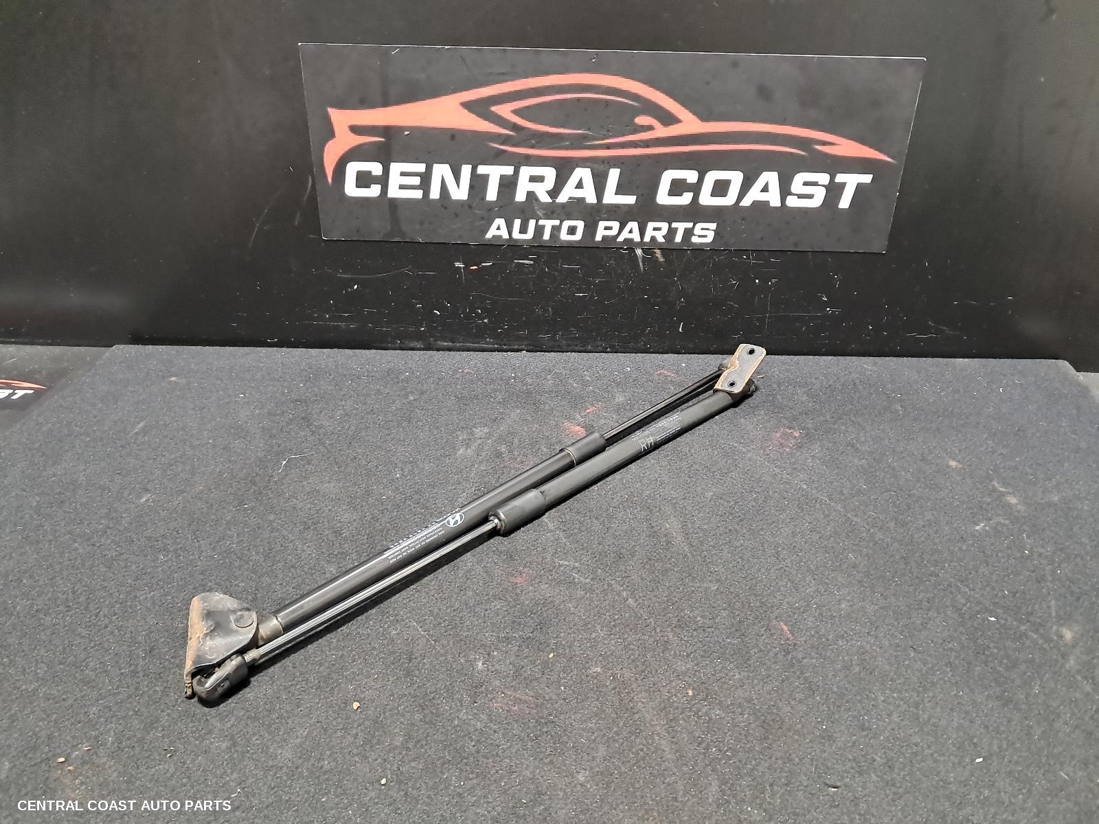 Hatch Strut