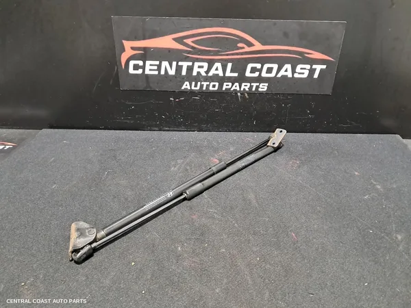 Hatch Strut