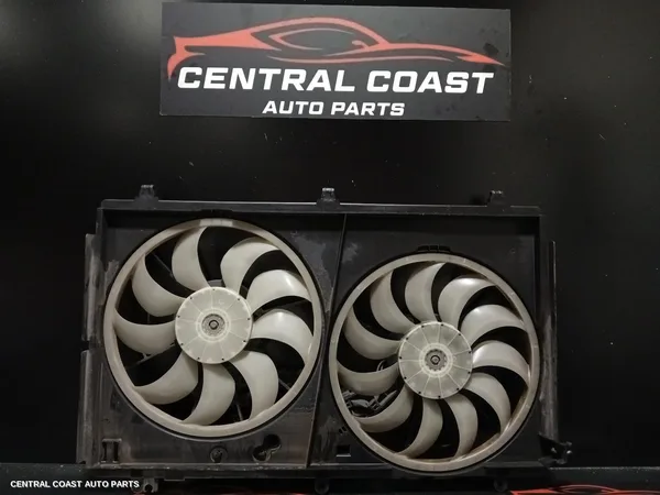 Fan