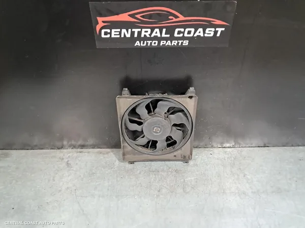 Fan
