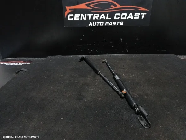 Hatch Strut