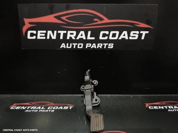 Pedal Assembly