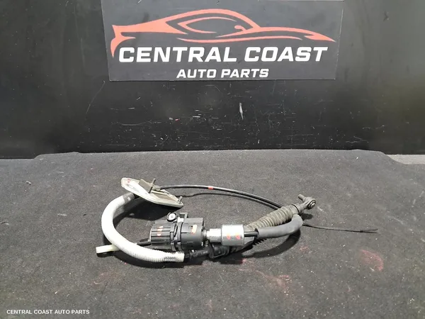 Cable