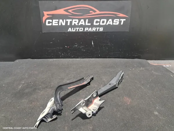 Bonnet Hinge/Strut