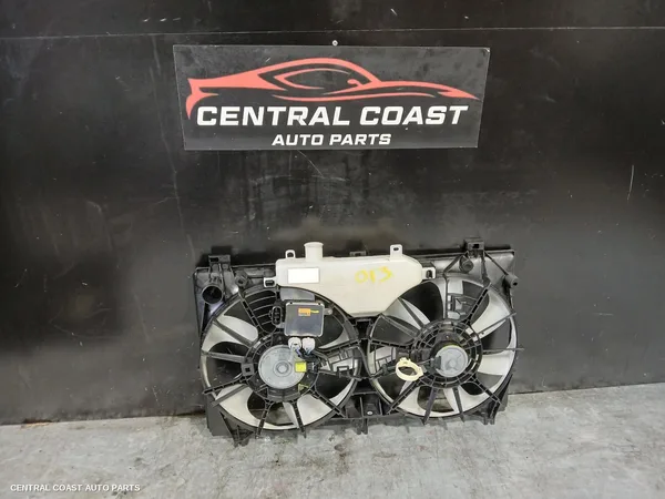 Fan