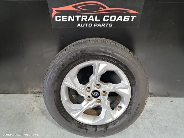 Wheel Mag