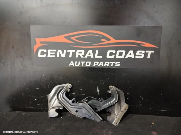 Bonnet Hinge/Strut
