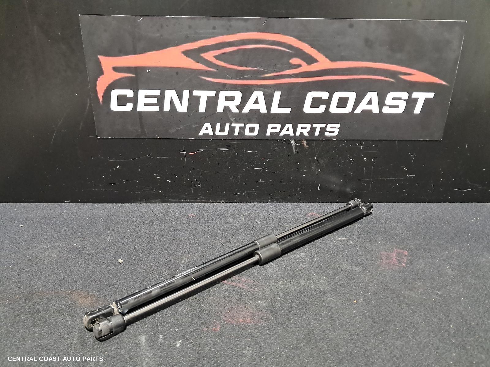 Hatch Strut