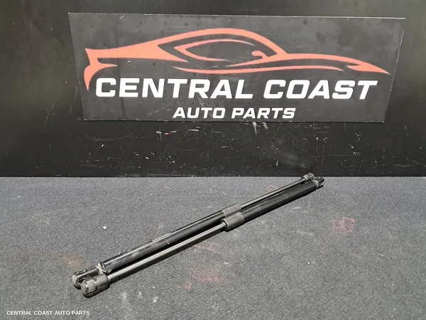 Hatch Strut