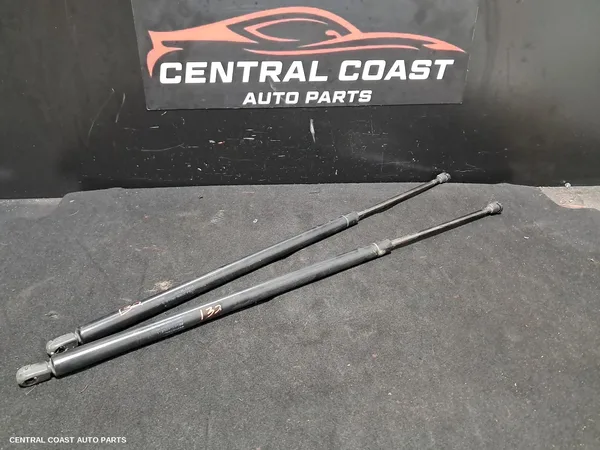 Hatch Strut